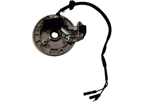 Qualidade Rotor de Magnato fábrica