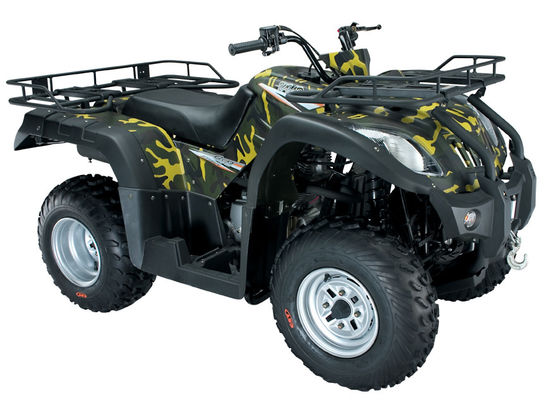 Calidad 250cc ATV con pilas toda la nieve de control manual del vehículo 4x2 Off Road del terreno fábrica
