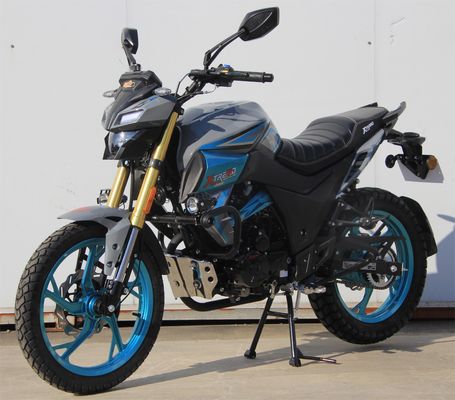 Qualità Xtremo Raptor 250 Motore con bilanciamento Quattro tempi velocometro digitale freno a disco USD410 Luxury Street Motorcycle fabbrica