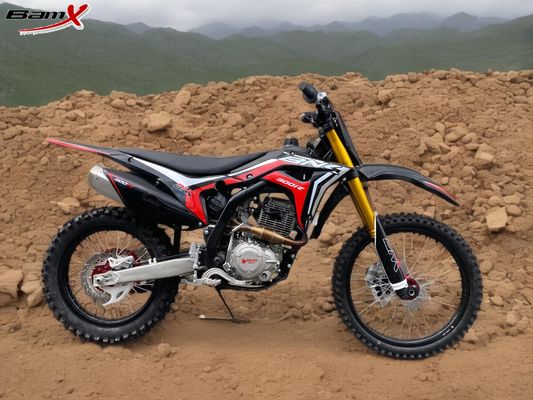 Qualität Chain Sport Motorräder Off-Road Erwachsene Moto Power Bike Straßen-Legal Bike mit 200-250cc Motor Fabrik