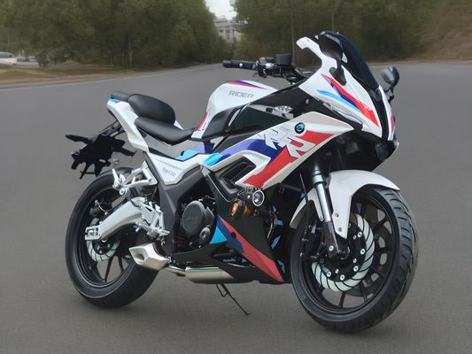 Kalite Fabrika 2024 250cc 400cc benzinli motosiklet benzinli bisiklet Sokak motosikletleri yetişkinler için 250cc enduro motosiklet yarışları fabrika