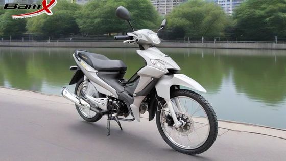 Quality Red Black 4-Stroke Two wheeled Vehicle Kick Starter System Hydraulic Damping Front Suspension factory