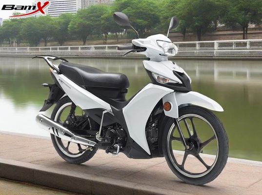 Qualidade silencioso automático Matte Black Sports Bike da embreagem de Bmx Cub da motocicleta do FILHOTE 7500rpm fábrica