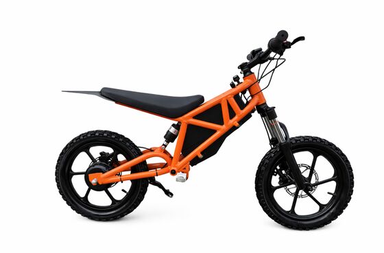 Quality Ready-to-Ride Kids Off-Road Electric Dirt Bike | High-Performance All-Terrain E-Bike for Outdoor Adventures factory