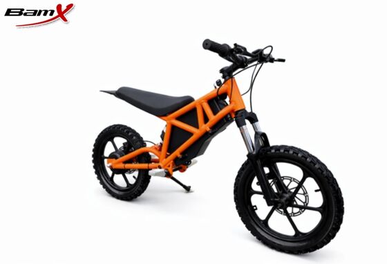 Quality Ready-to-Ride Kids Off-Road Electric Dirt Bike | High-Performance All-Terrain E-Bike for Outdoor Adventures factory